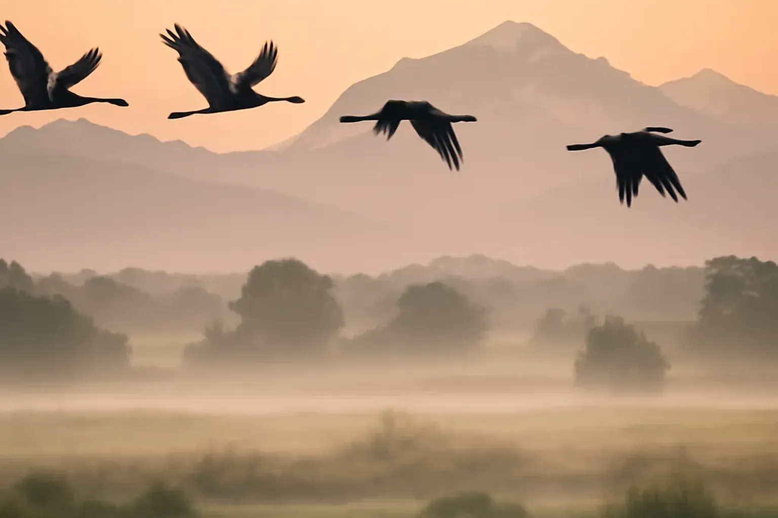 Sentier ornithologique d'Uzein : zones humides et migrations près de Pau-Pyrénées